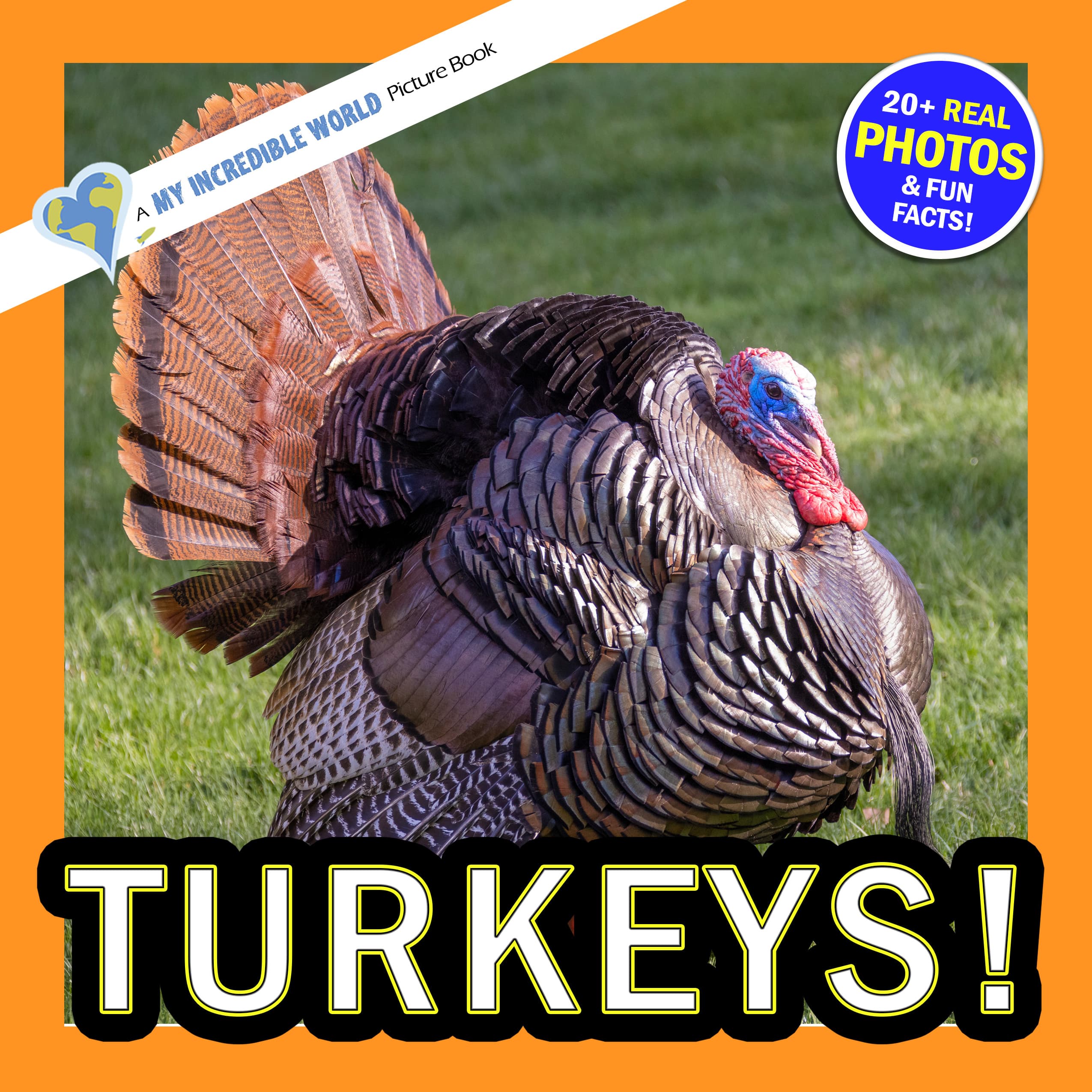 Turkeys! A My Incredible World Picture Book for Children